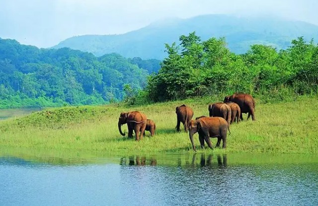 Thekkady