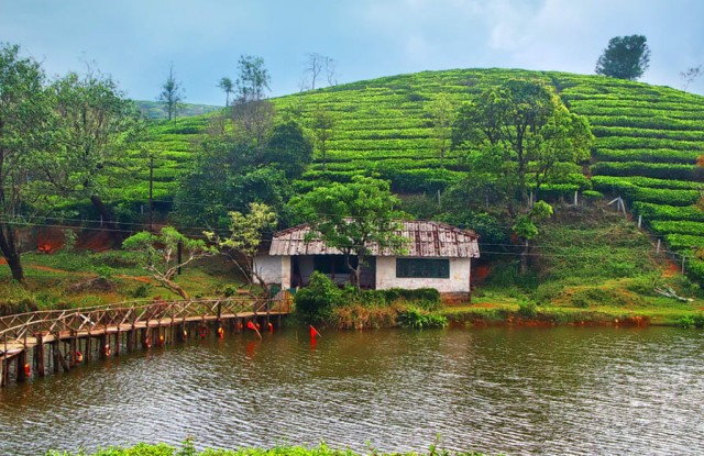 Vagamon