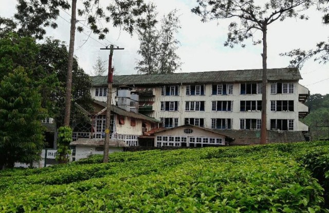 Plantation and tea factory visit